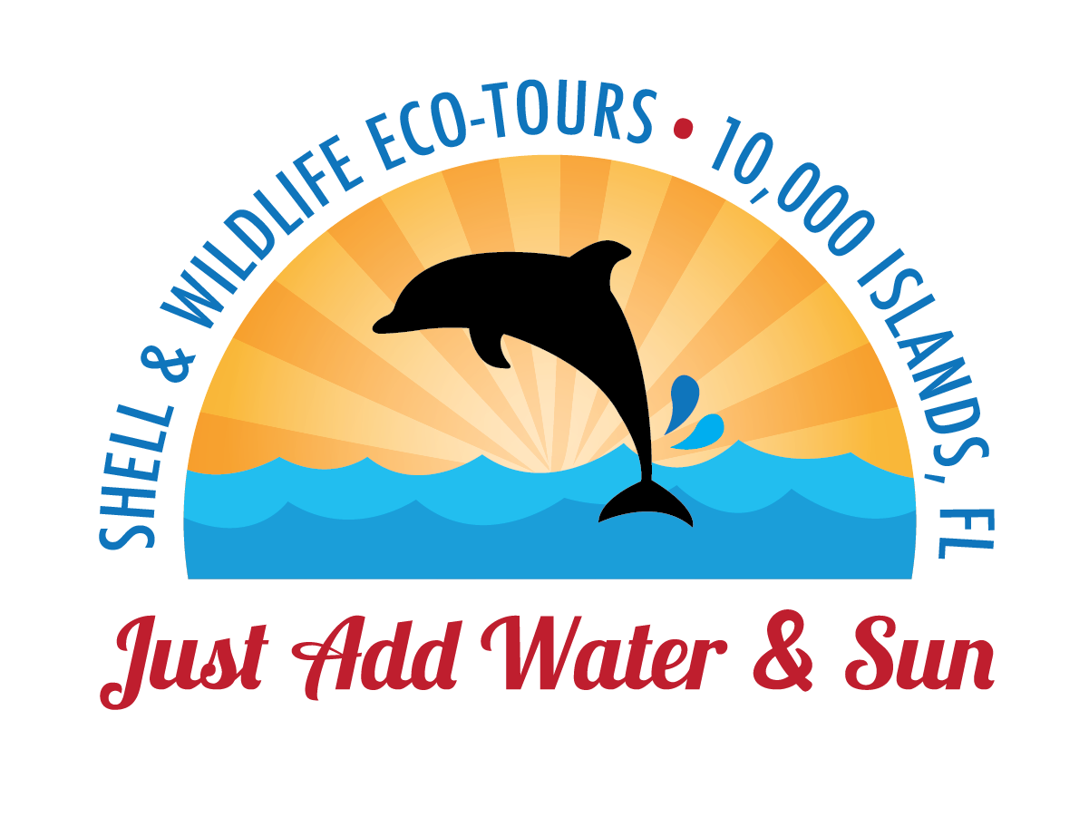 Just Add Water & Sun 10,000 Islands boat tours